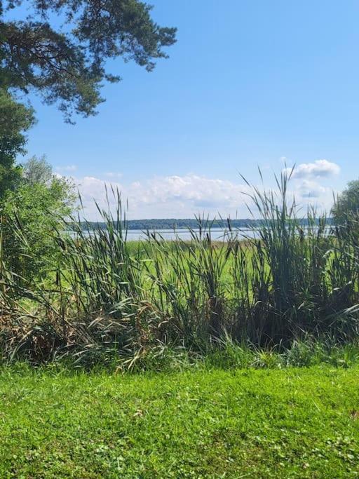 L'Oree Des Lacs, Maison De Village Tout Confort Radonvilliers Eksteriør billede